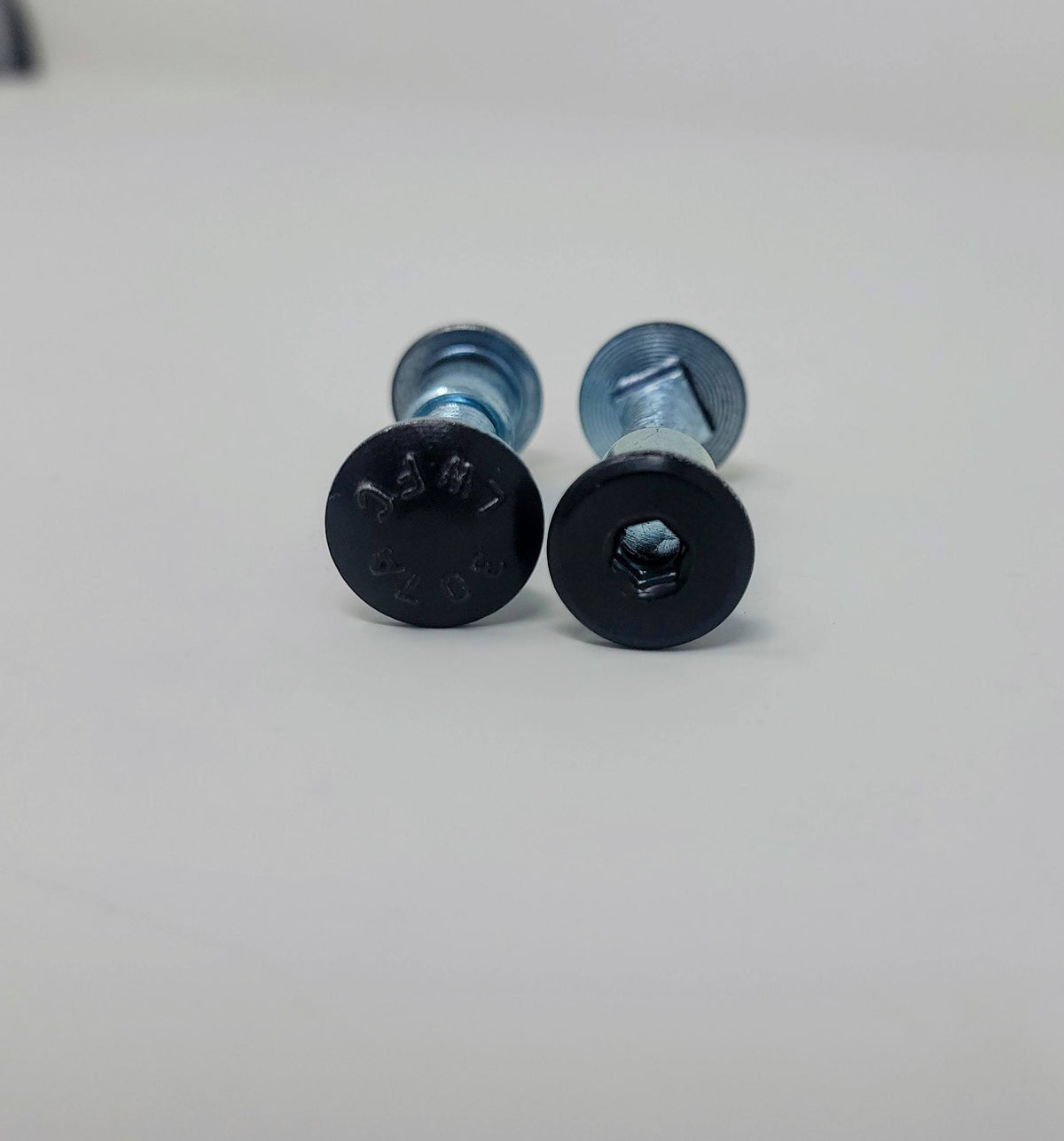 Latch-Gard LG160D Duronodic carriage bolts and flush security fasteners included